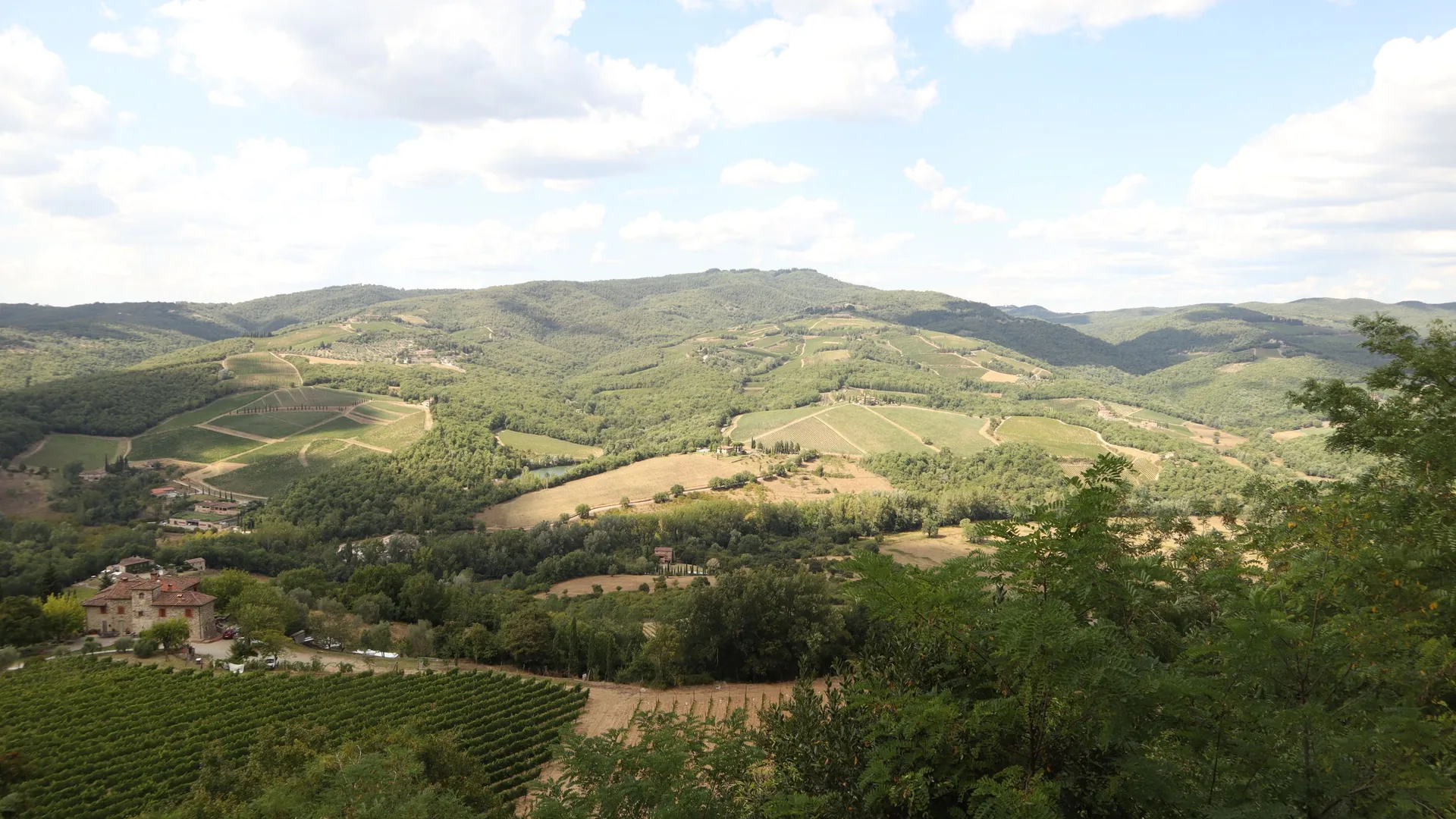 Rullende Chianti-vinmarker og cypresstræer under den toskanske sol